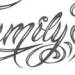The phrase family first written in a stylistic font